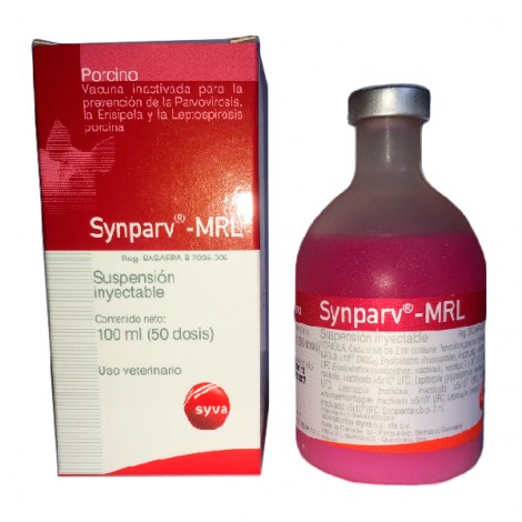 Synparv – MRL