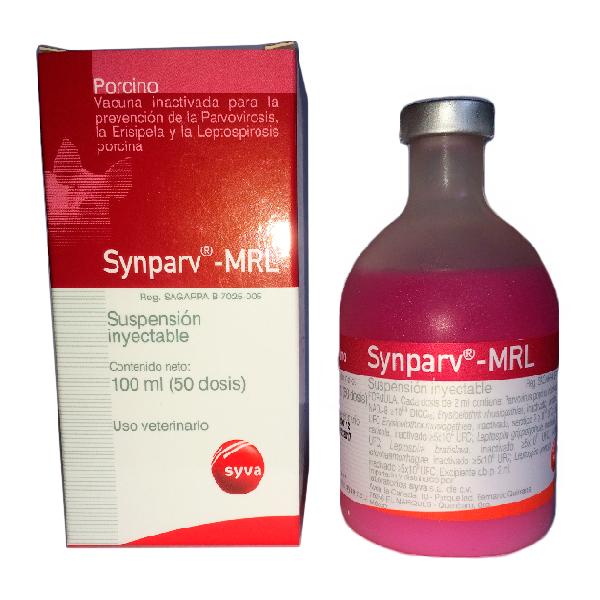 3. Synparv-–-MRL