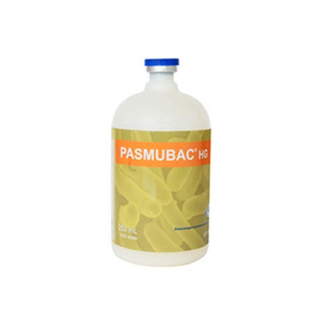 PASMUBAC HG