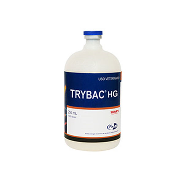 TRYBAC-HG