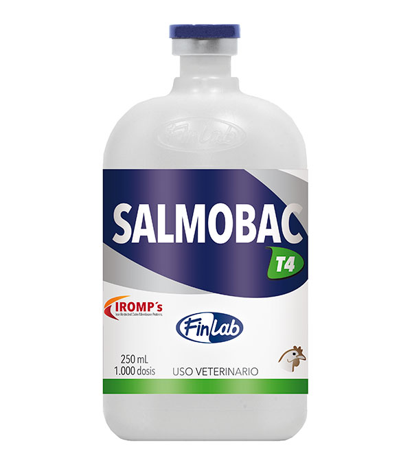salmobac-t4