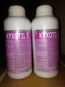 kyxotils-tratamiento-pollos